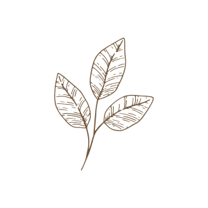 Icoon Bovenberg Bergambacht